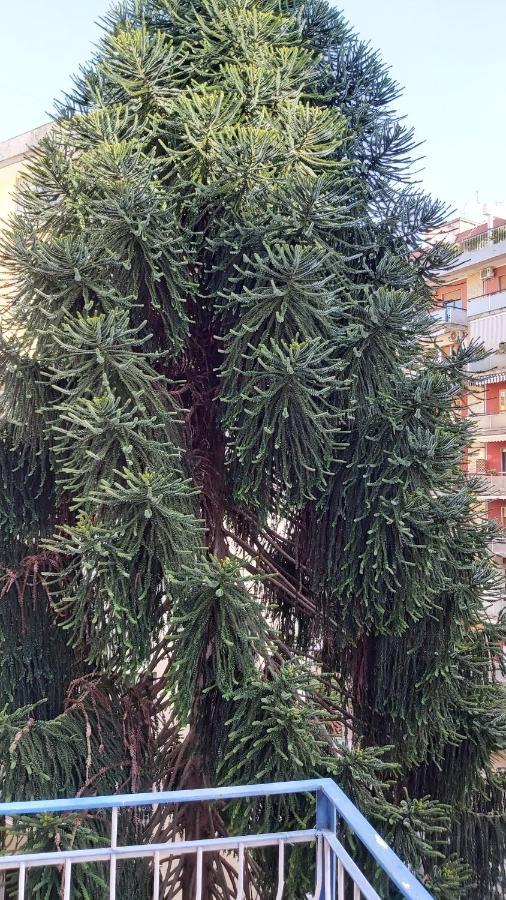 Appartement La Casa Del Cedro à Naples Extérieur photo